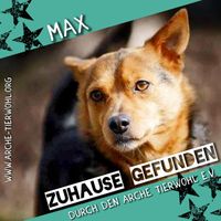 Max - ZUHAUSE GEFUNDEN am 7.3.2024