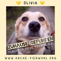 Olivia - ZUHAUSE GEFUNDEN am 2.3.2024