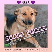 Ulla - ZUHAUSE GEFUNDEN am 5.3.2023