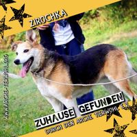 Zirochka - ZUHAUSE GEFUNDEN am 23.3.2024